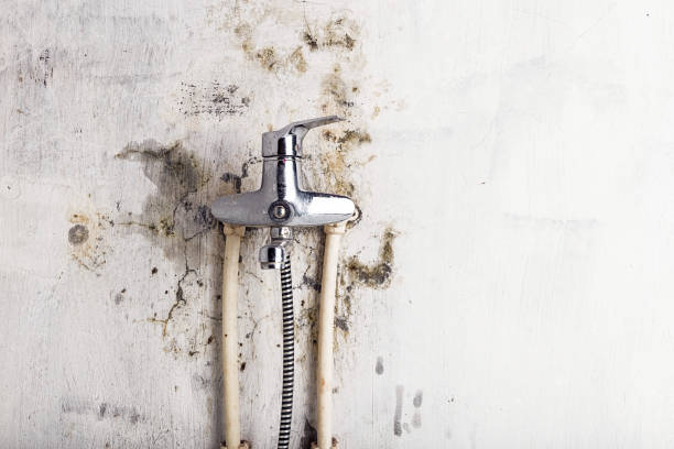 Best Industrial Mold Remediation in Kermit, TX